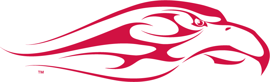 Liberty Flames 2003-2013 Secondary Logo diy iron on heat transfer